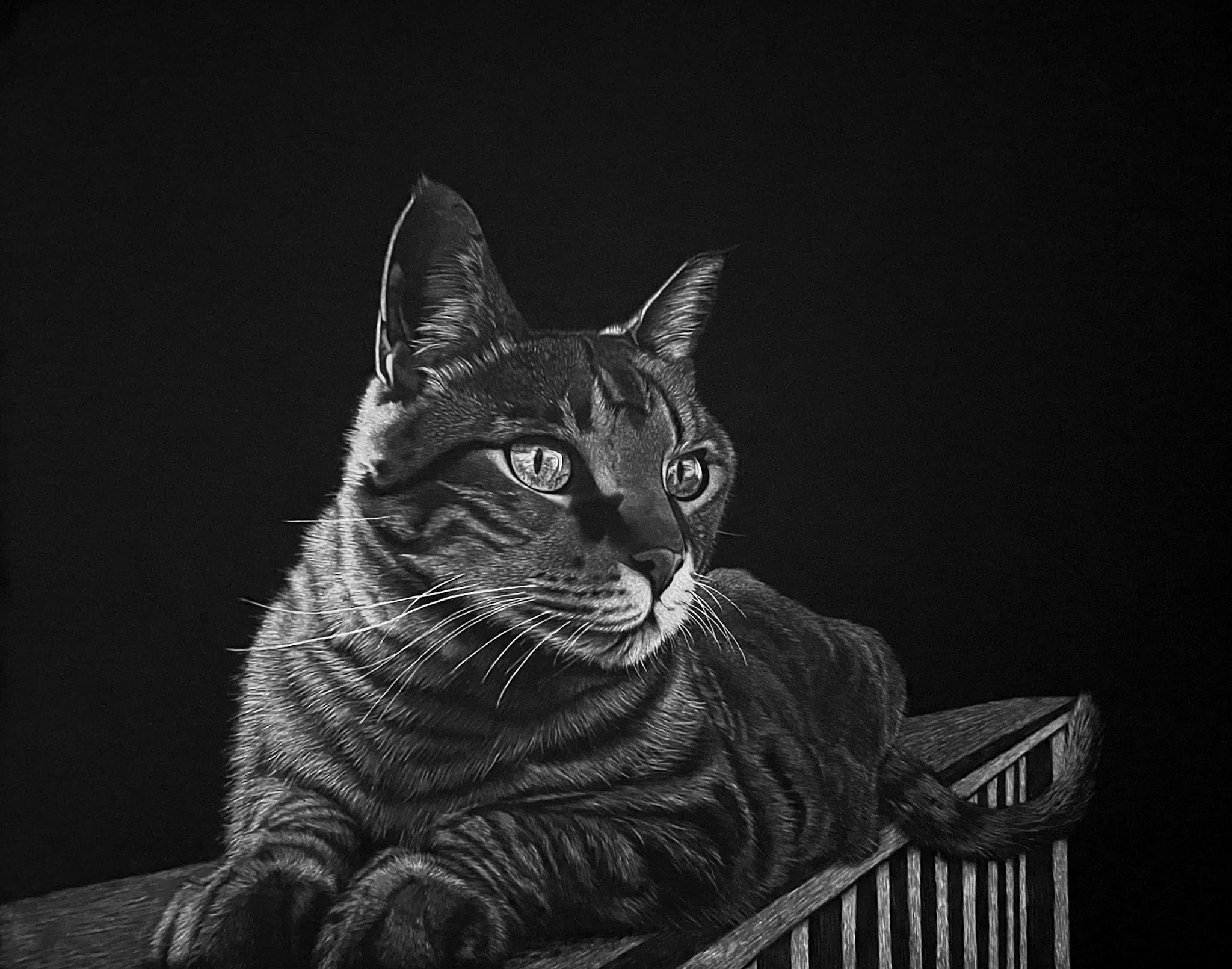 Scratchboard artwork by Nathan Kukla