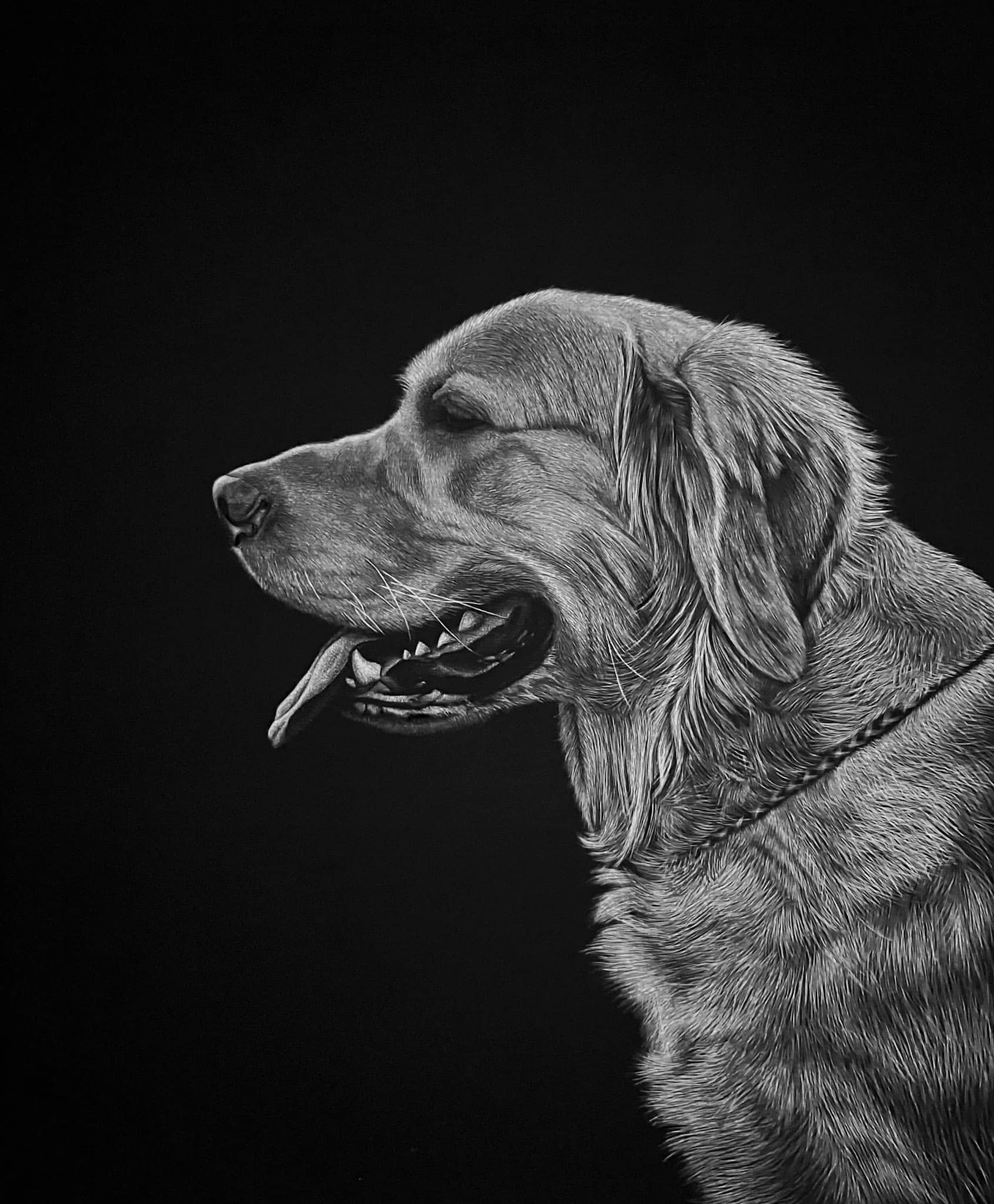 Scratchboard artwork by Nathan Kukla